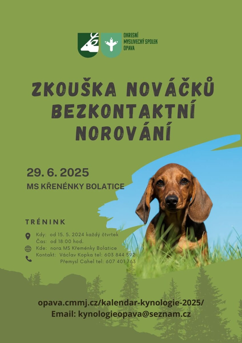 Zkoušky norovnání a tréninky