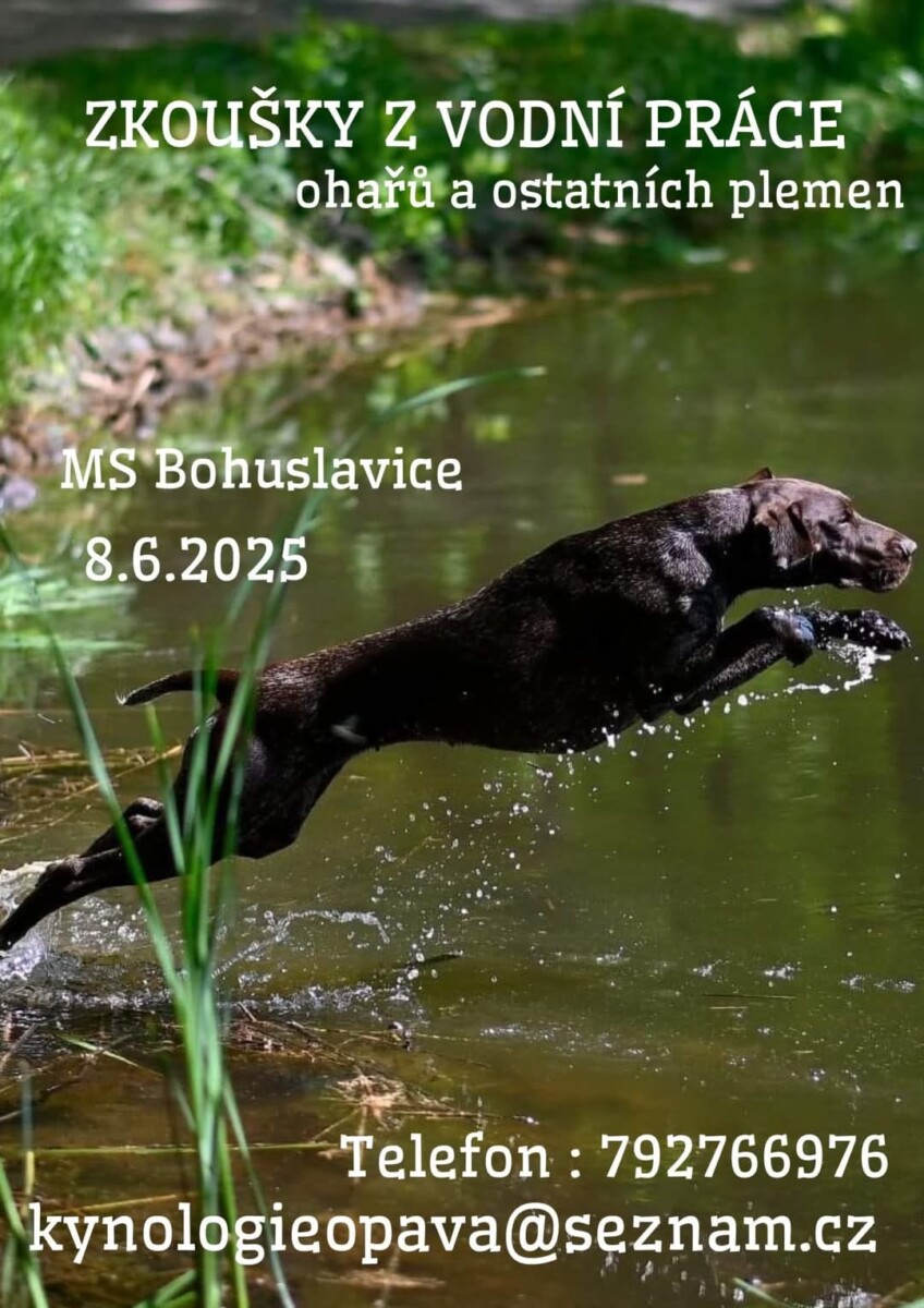 Zkoušky Vodní práce ohařů a ostatních plemen