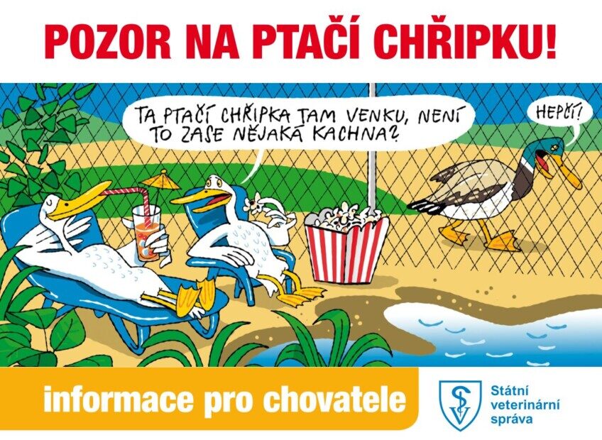 Informace o potvrzení ohniska ptačí chřipky